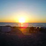 Bright